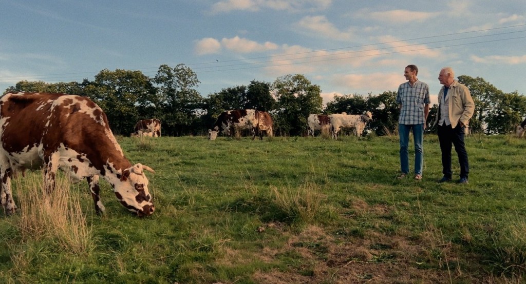 actualité France une histoire d'amour